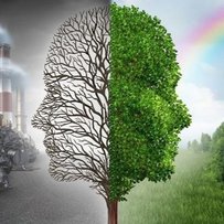 Україну було гідно представлено на СОР28