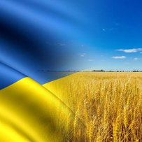 Світова продовольча безпека базується на внутрішньому виробництві в Україні та відновленні судноплавства у Чорному морі