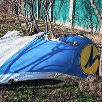 Спільна заява Міжнародної групи координації допомоги жертвам рейсу PS752 щодо заходів у Міжнародній організації цивільної авіації
