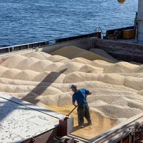 За 5 місяців українським морським коридором пройшло 15 млн тонн експортних вантажів