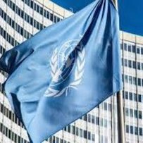 Сполучені Штати відмовляються стати співавтором проєкту резолюції ООН, яка підтримує територіальну цілісність України і засуджує російську агресію