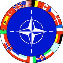 Ветерани країн НАТО навчатимуть українських саперів