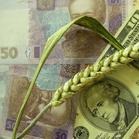Мінагрополітики розробило концепцію створення національної системи сільськогосподарських знань та інновацій