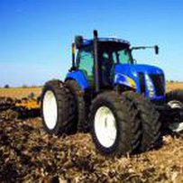 Аграрії засіяли вже 76% ярих зернових та зернобобових культур від прогнозованих площ