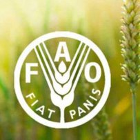 Україну обрано до Ради ФАО