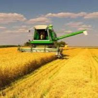 Аграрії зібрали понад 10 мільйонів тонн зернових та зернобобових
