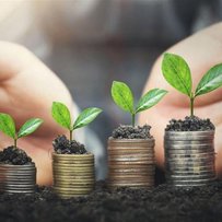 Доступні кредити 5-7-9%: цього року аграріями вже залучено понад 29 млрд грн