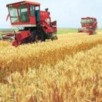 Українські аграрії зібрали понад 7,2 млн зернових та зернобобових культур