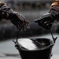 Ціни на нафту продовжують зростання