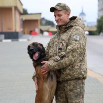  Доля прикордонного пса — чекати свою людину з війни 