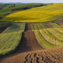 Ринок землі сягнув 1 мільйона гектарів