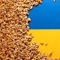 Україна відкрила перший агрохаб на африканському континенті