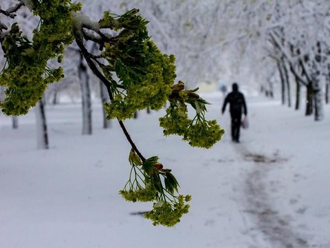 Харківщину замело снігом
