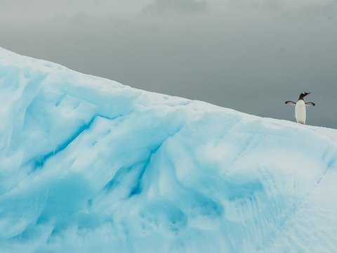 У фотооб'єктиві Антарктида
