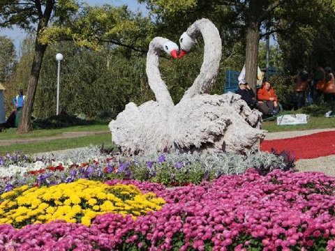 День міста у Запоріжжі: виставка квітів