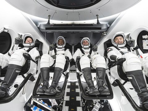 Пряма трансляція запуску місії SpaceX «Crew-1» до Міжнародної космічної станції
